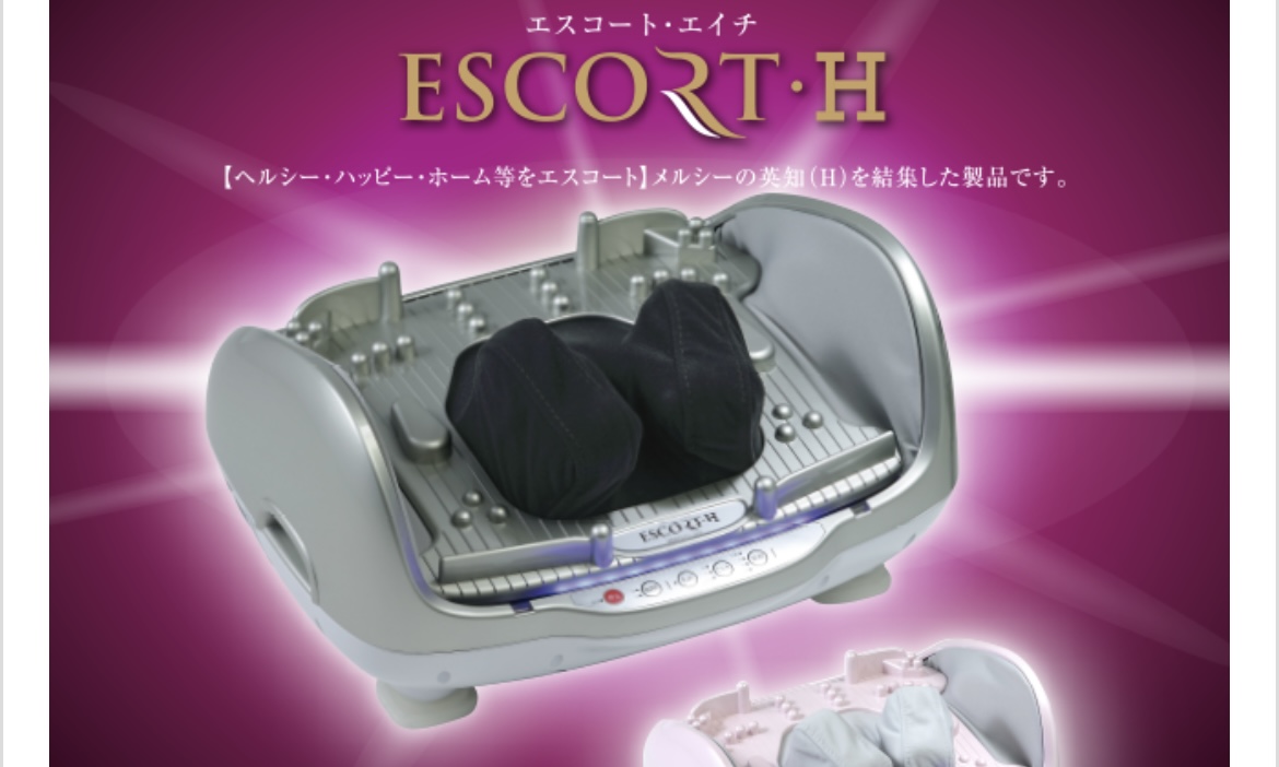 エスコートエイチ ESCORT H 英知 - 美容機器